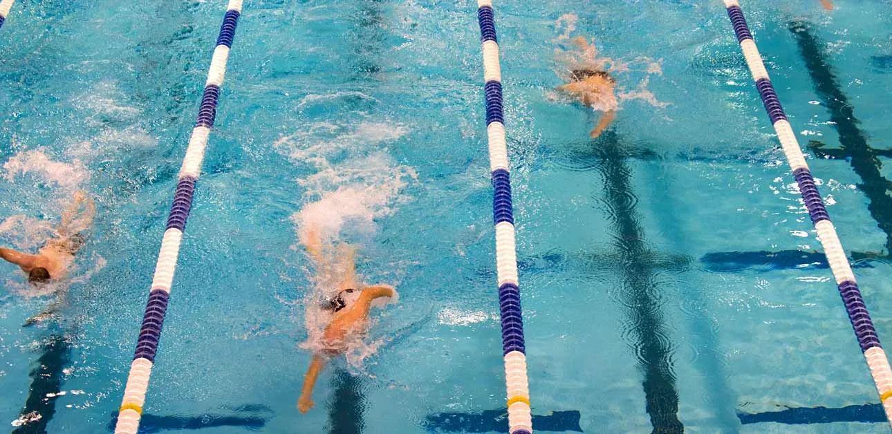 Overhead photo of people swimming in a lanes.